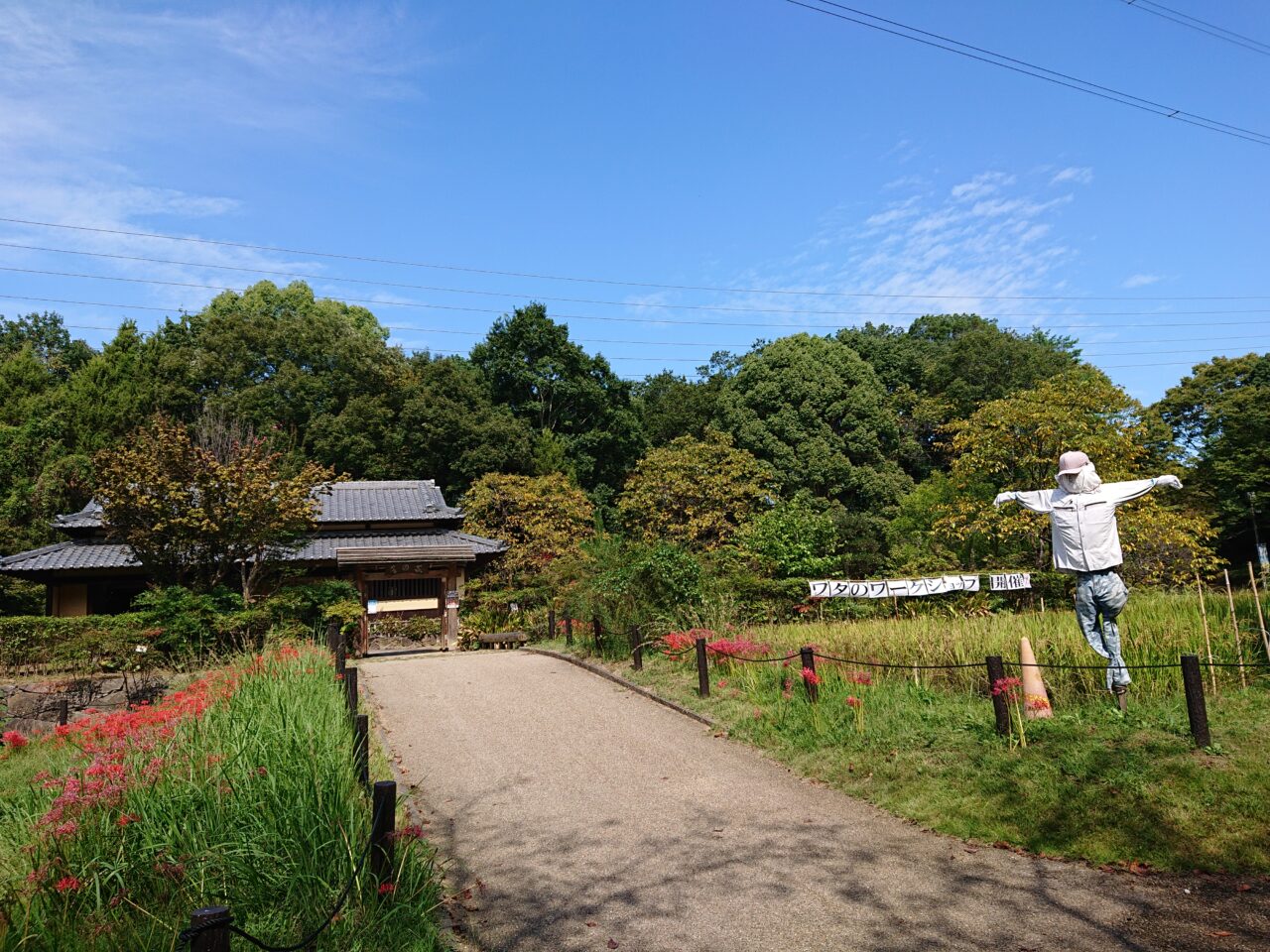 河内の里かかし