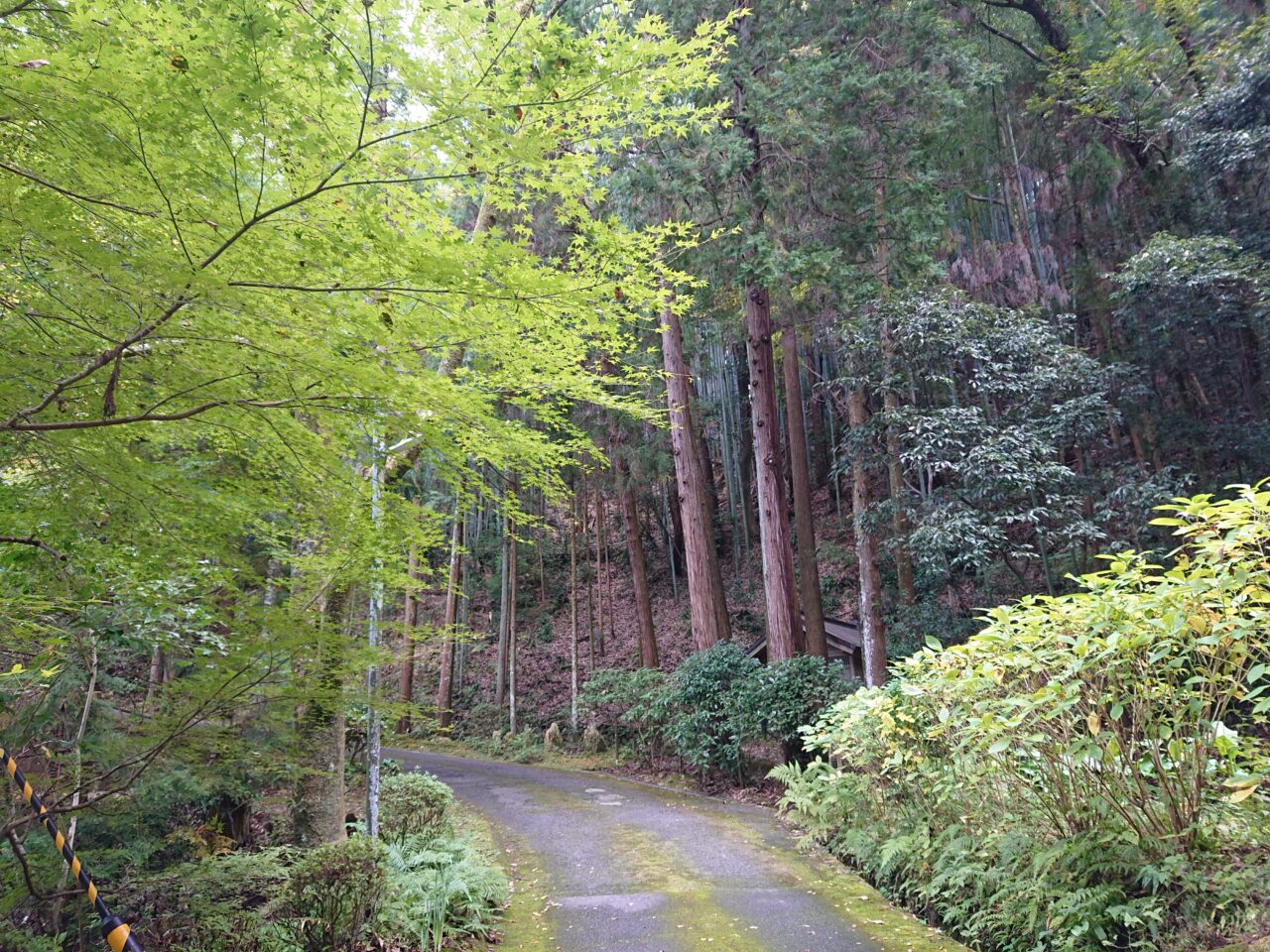 なんぴ上り道