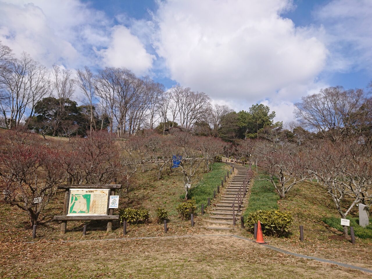 梅の里