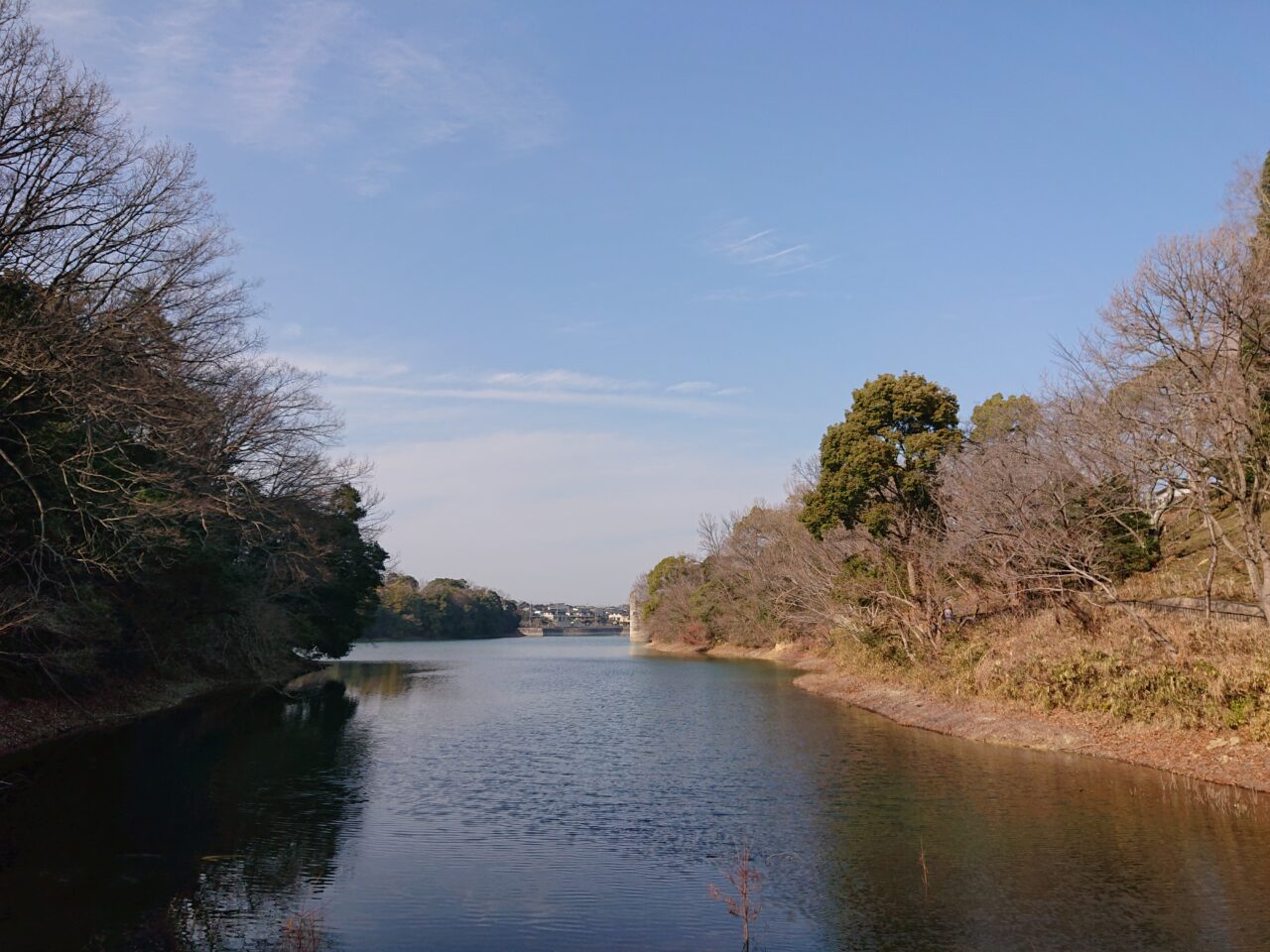 寺ヶ池