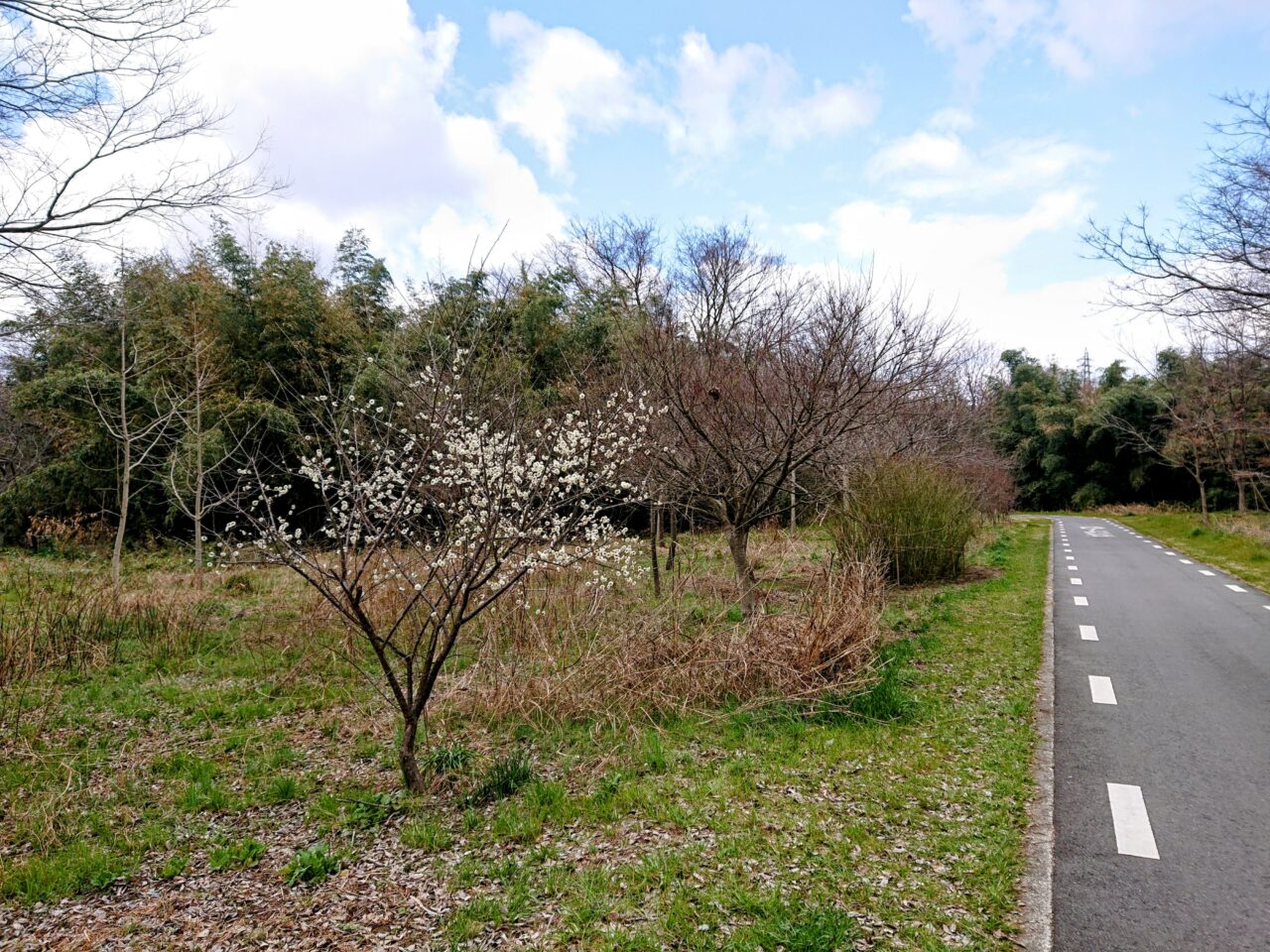 石川