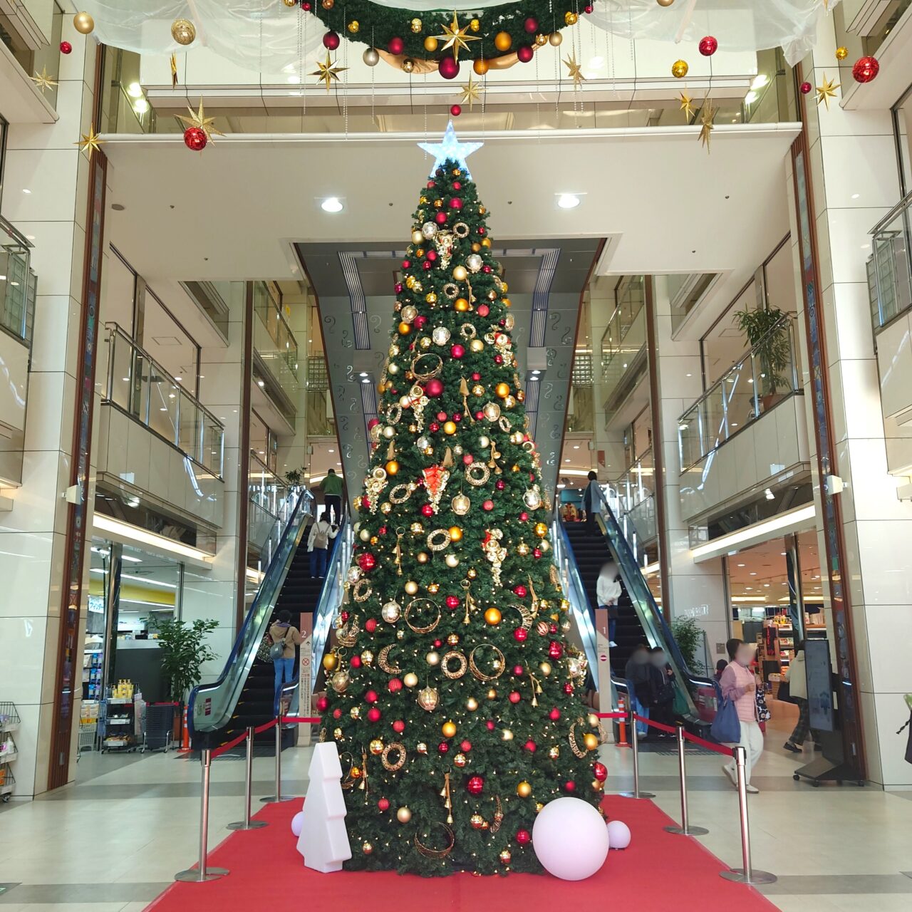 エコール・ロゼのブラックフライデーイベント