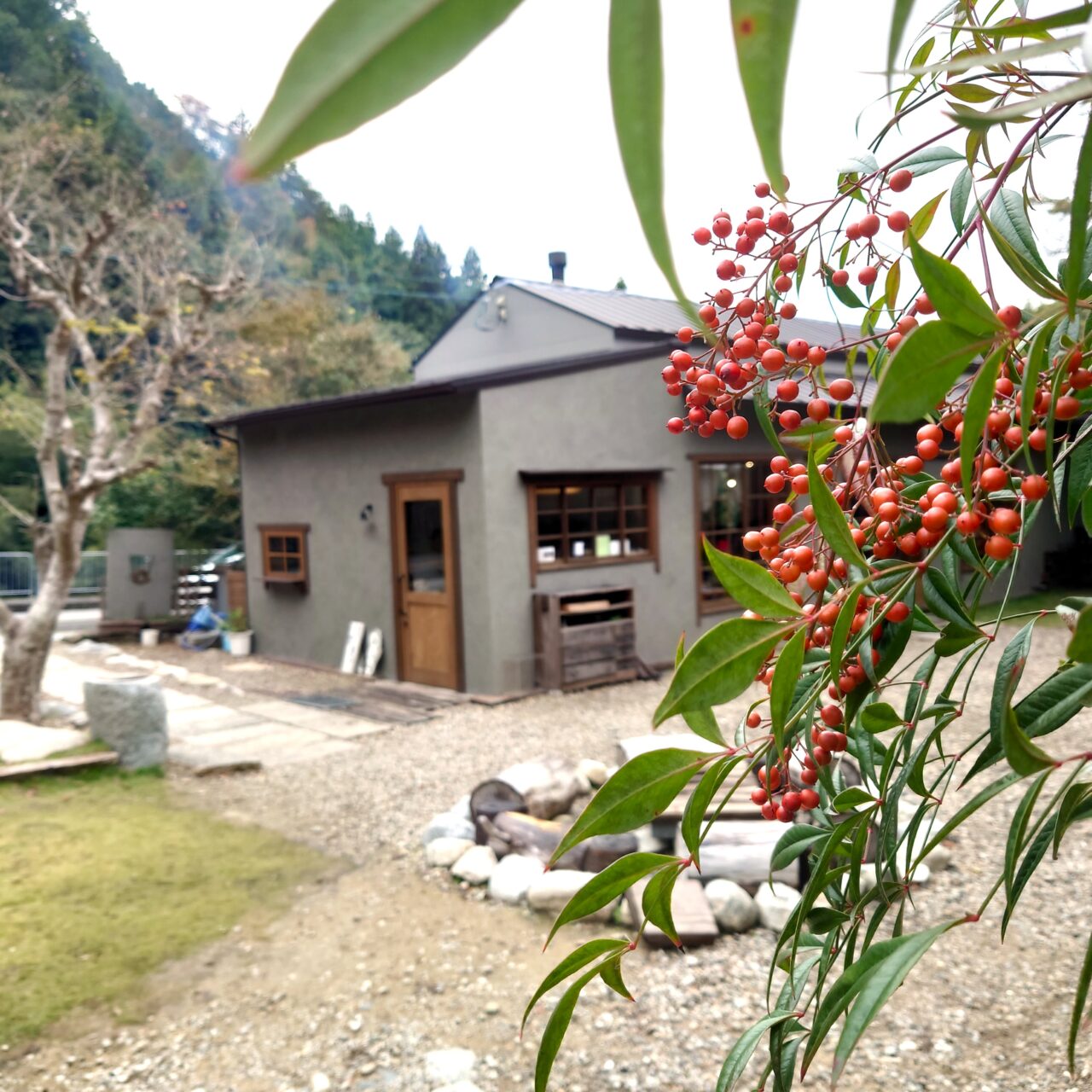 ヨリドコロ縁～落ち葉を拾って、落ち葉で遊ぶご縁の日～