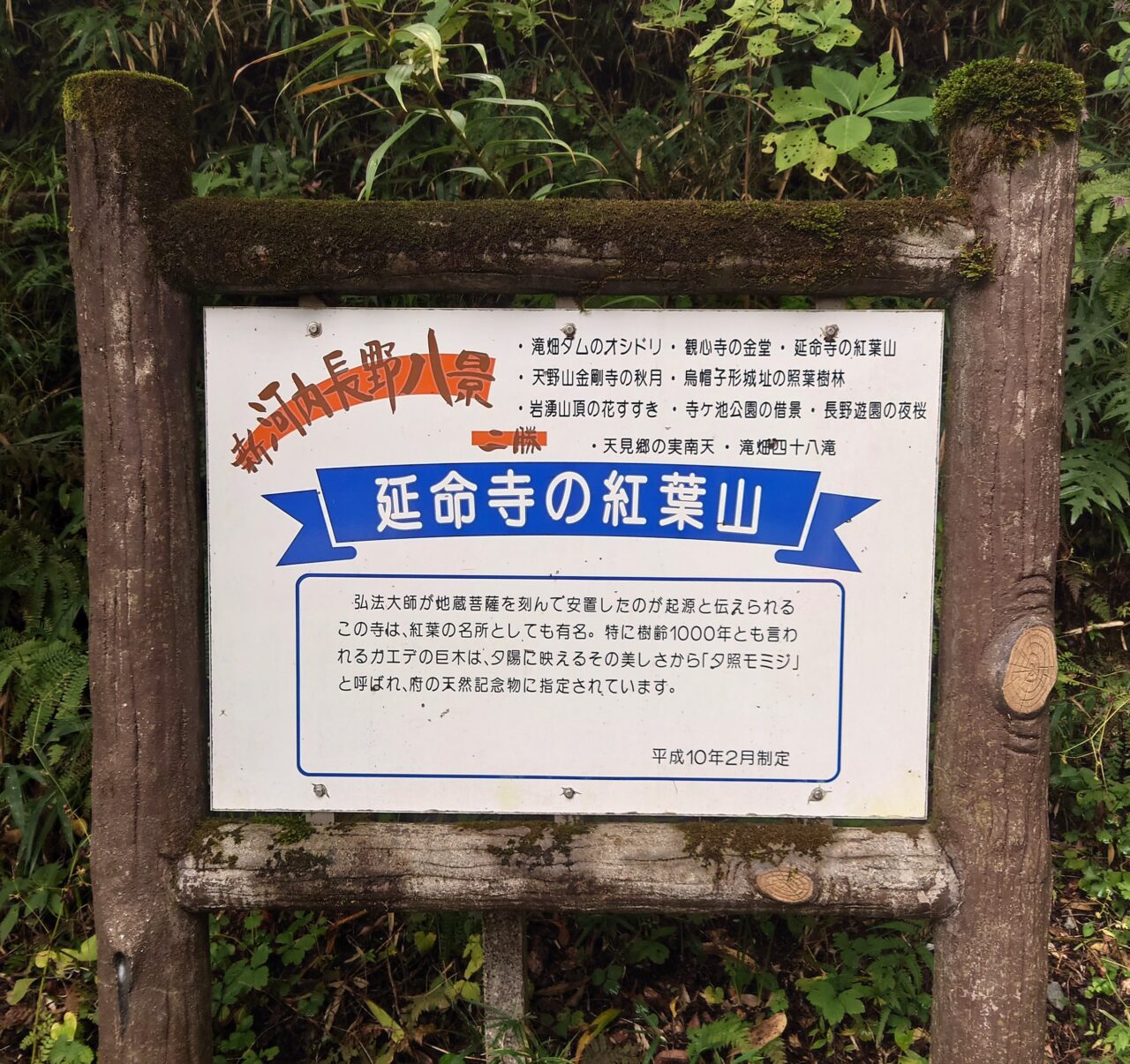 2025年延命寺・秋のチャリティー会