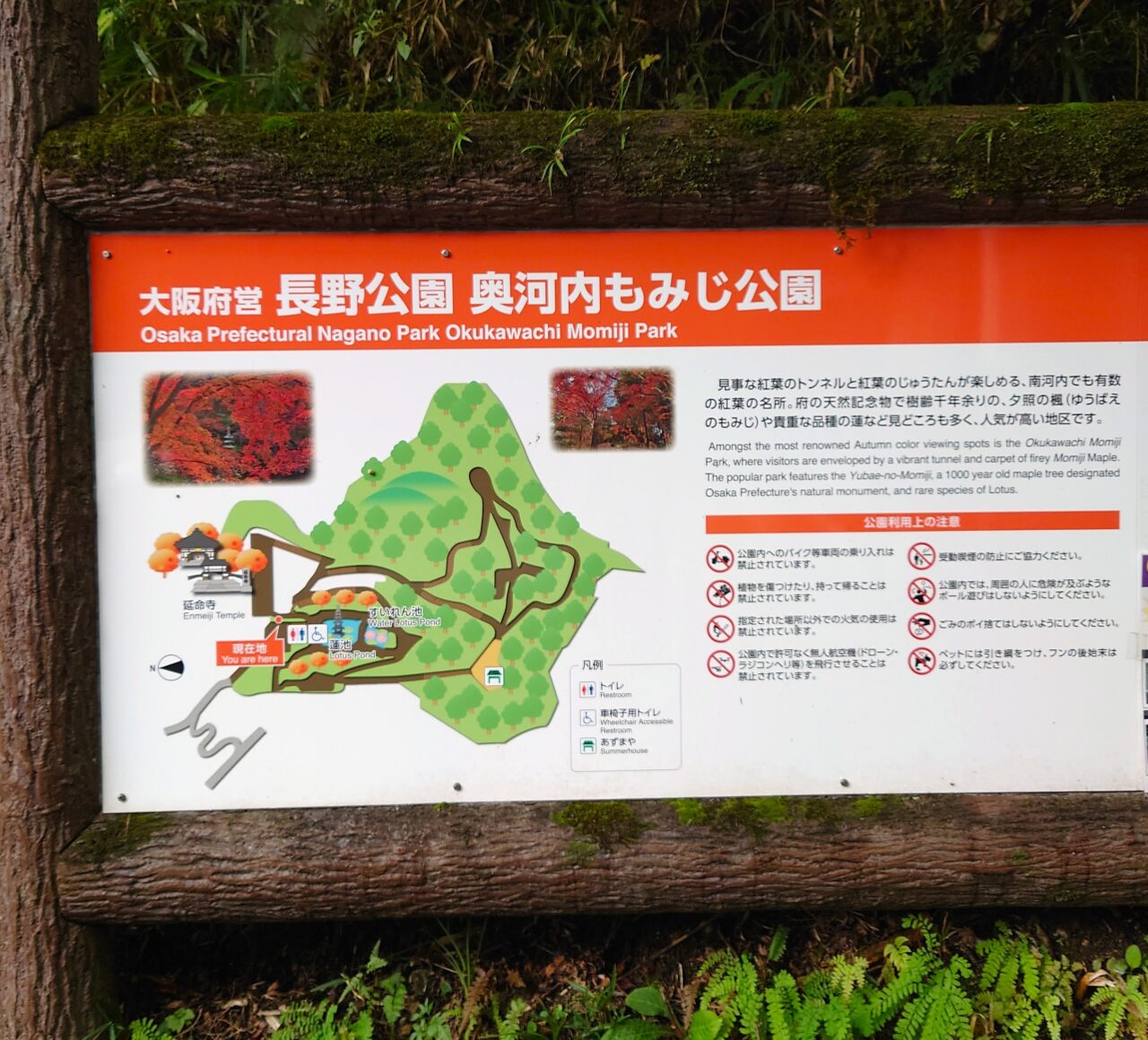 2025年延命寺・秋のチャリティー会