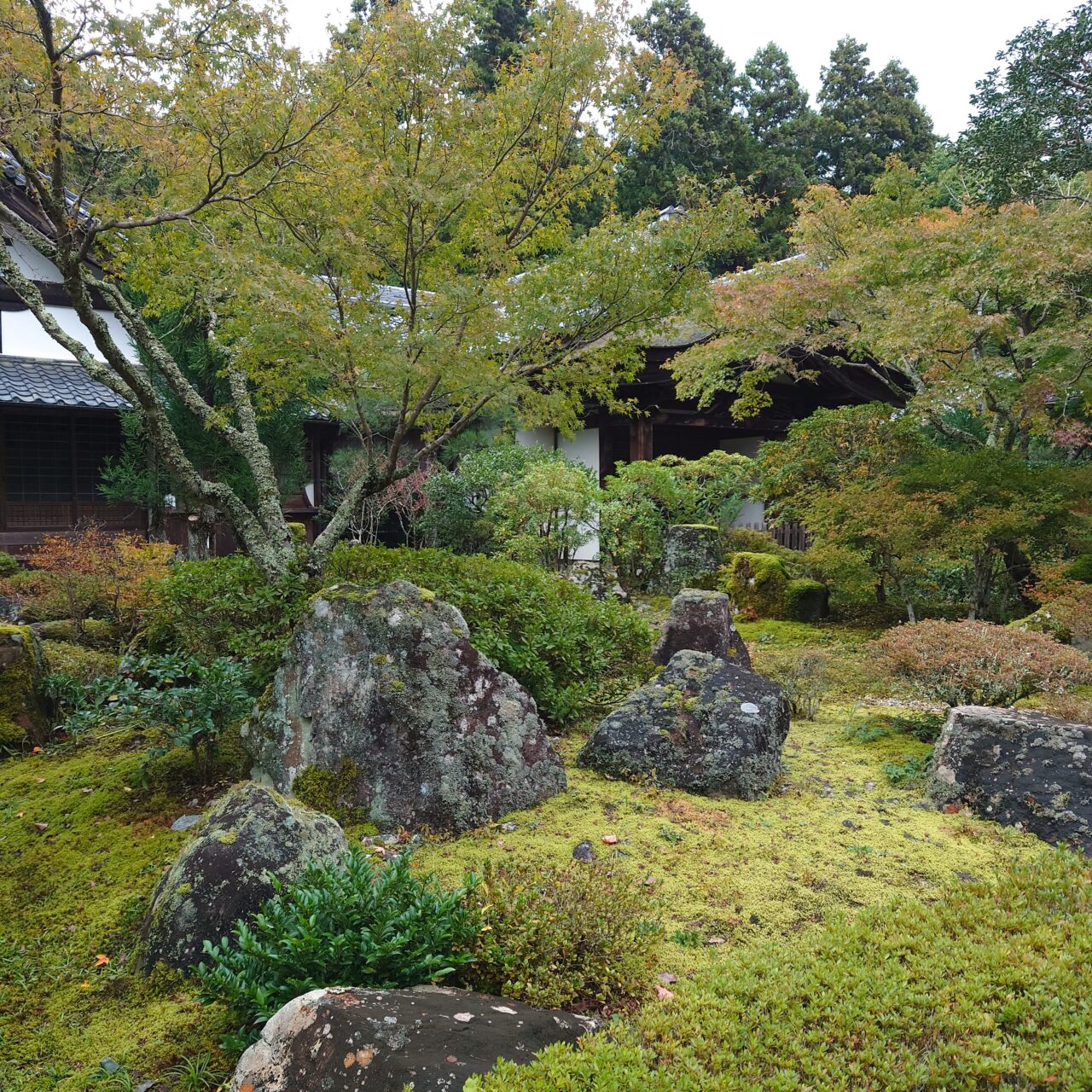 2025年延命寺・秋のチャリティー会
