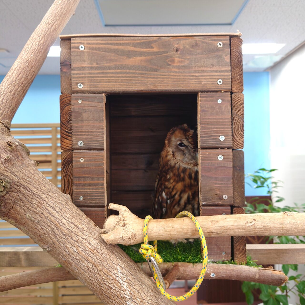 花の文化園「関西文化の日」2025