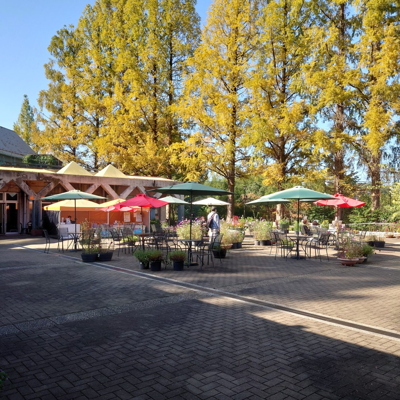 花の文化園「関西文化の日」2025