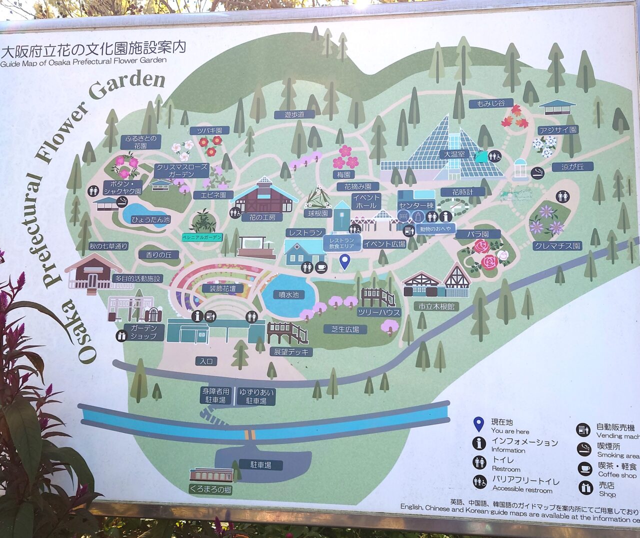 花の文化園「関西文化の日」2025