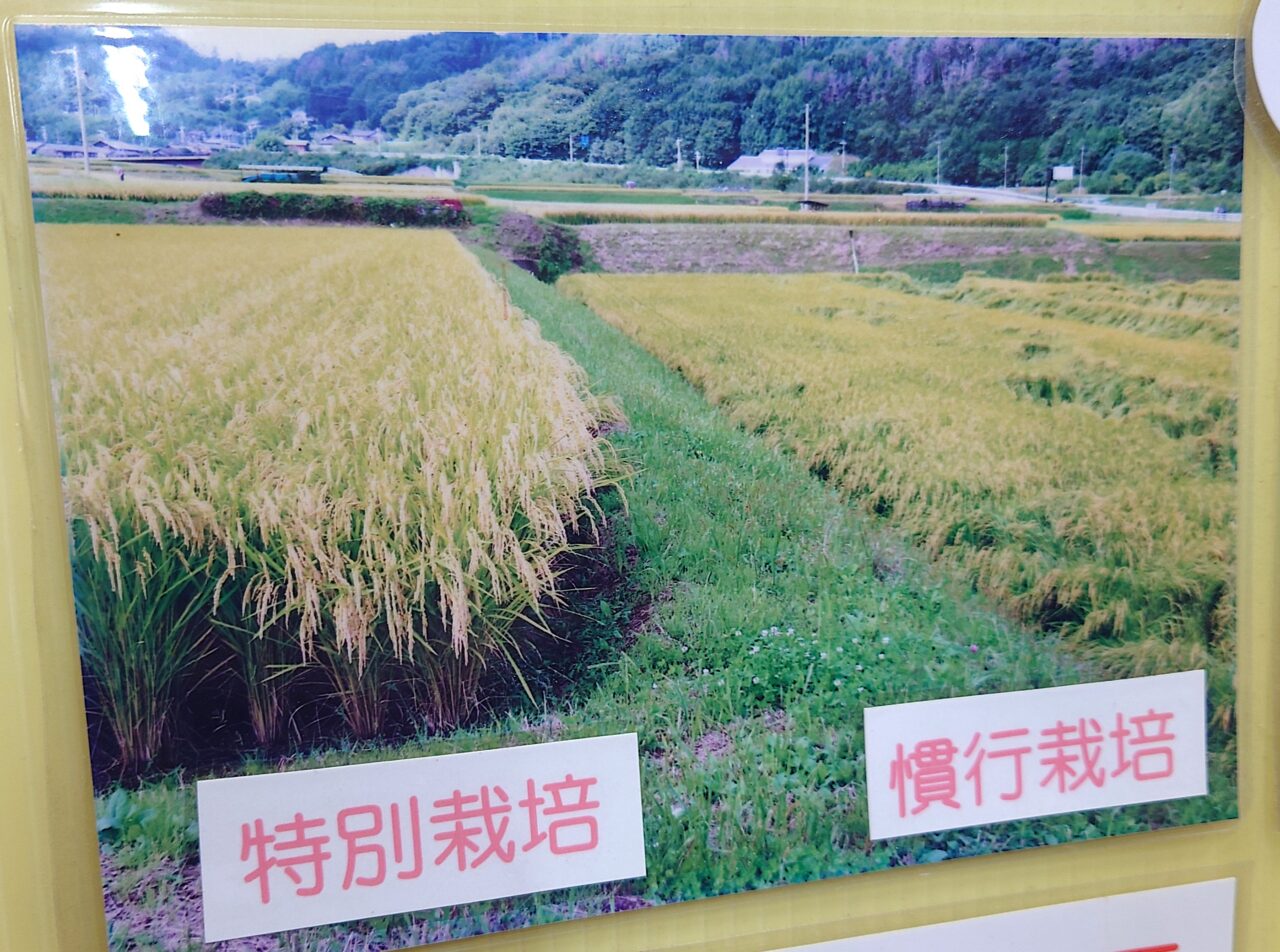 米のきのした新米祭り2025