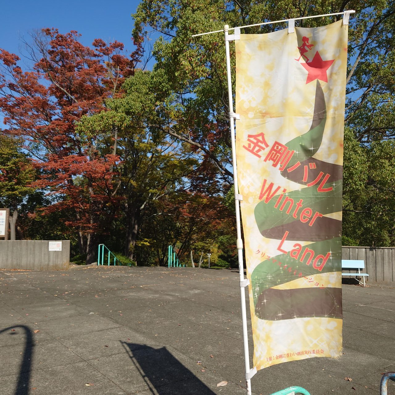 金剛きらめきイルミネーション2025