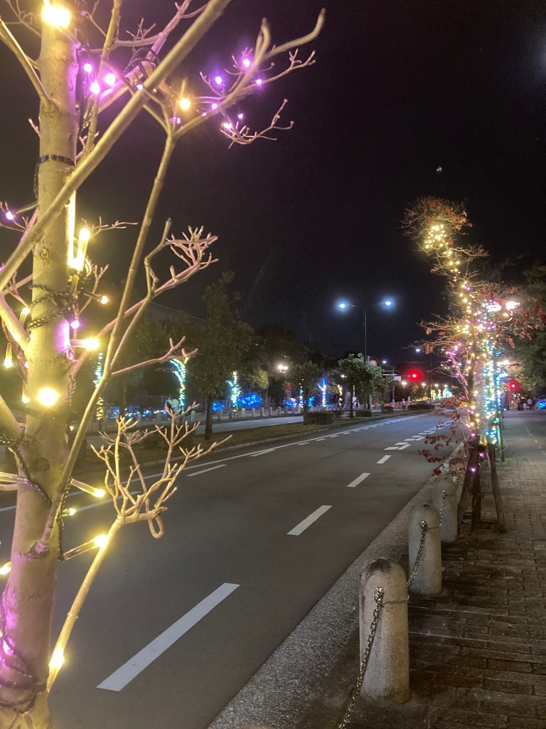 金剛きらめきイルミネーション2025