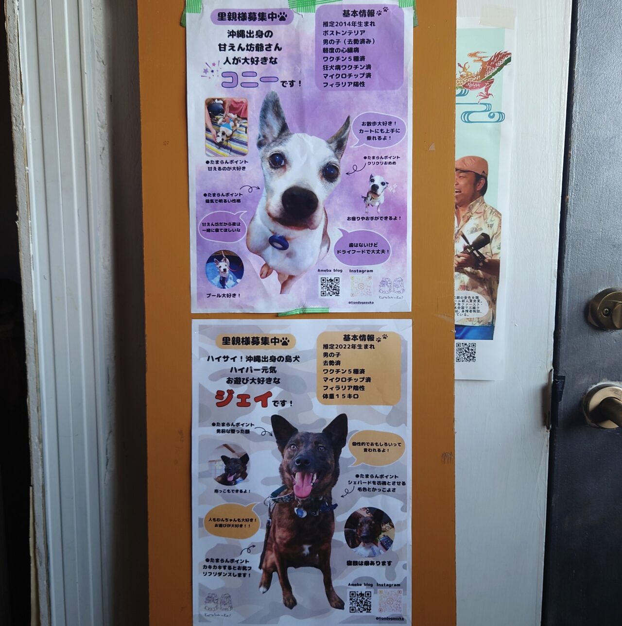 ヒトと動物のやさしい一日。