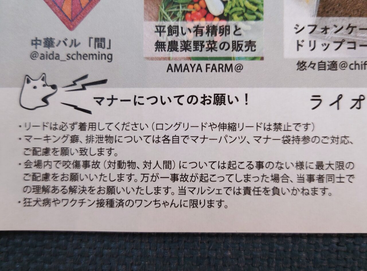 ヒトと動物のやさしい一日。