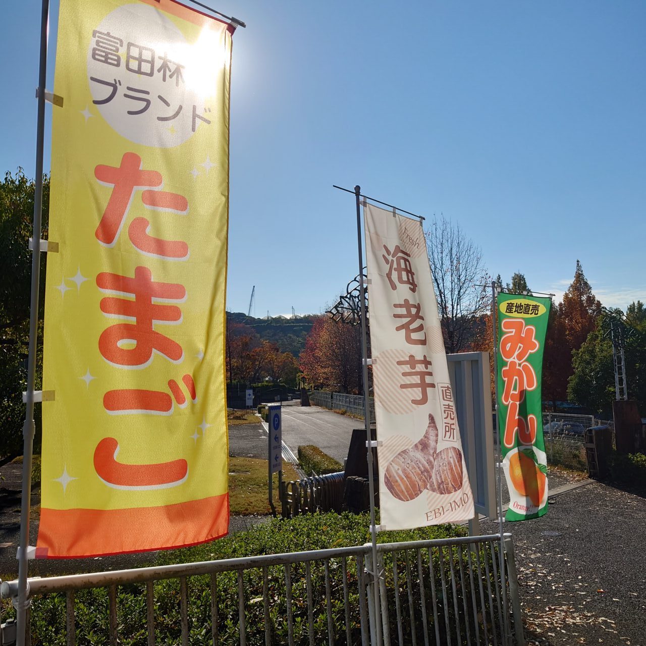 サバーファーム定休日＆営業時間の変更