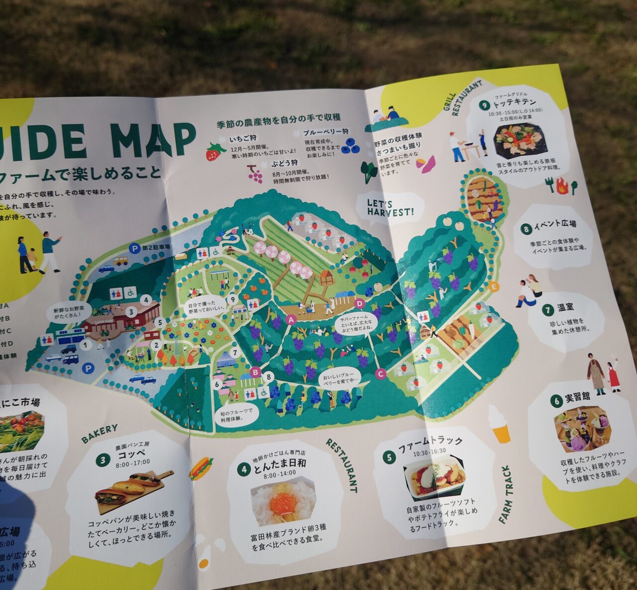 サバーファーム定休日＆営業時間の変更