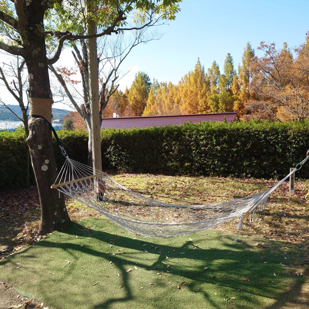 サバーファーム定休日＆営業時間の変更