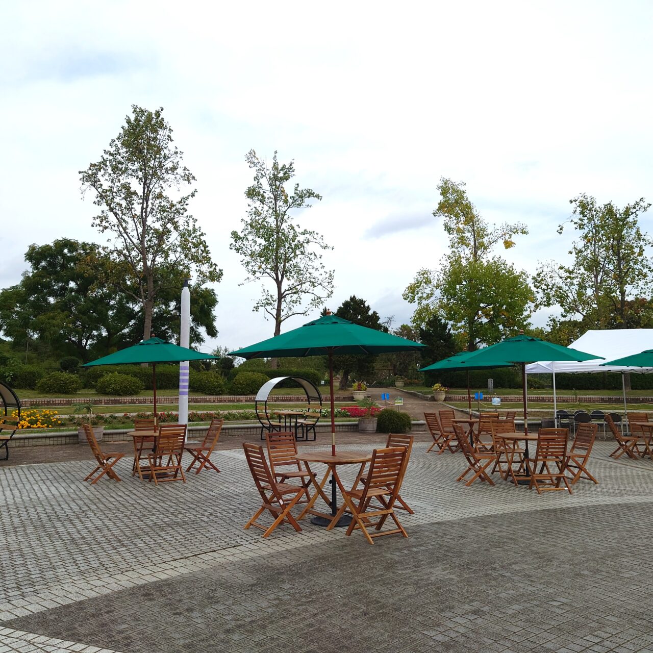 寺ケ池公園リニューアル