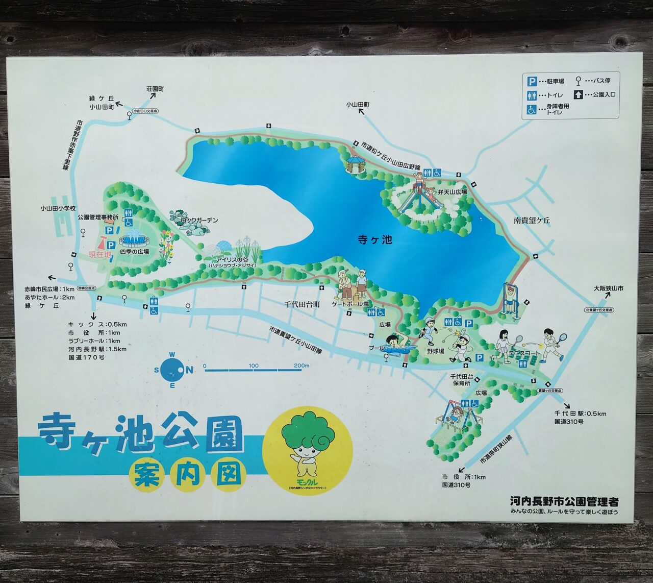 寺ケ池公園リニューアル