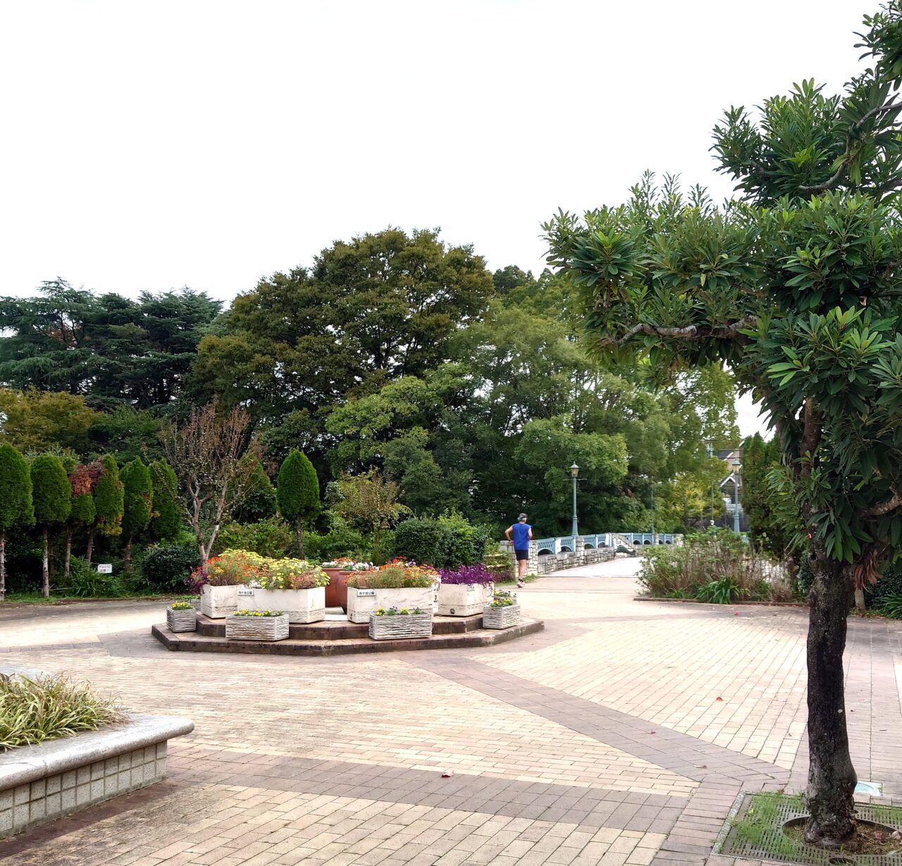 寺ケ池公園リニューアル