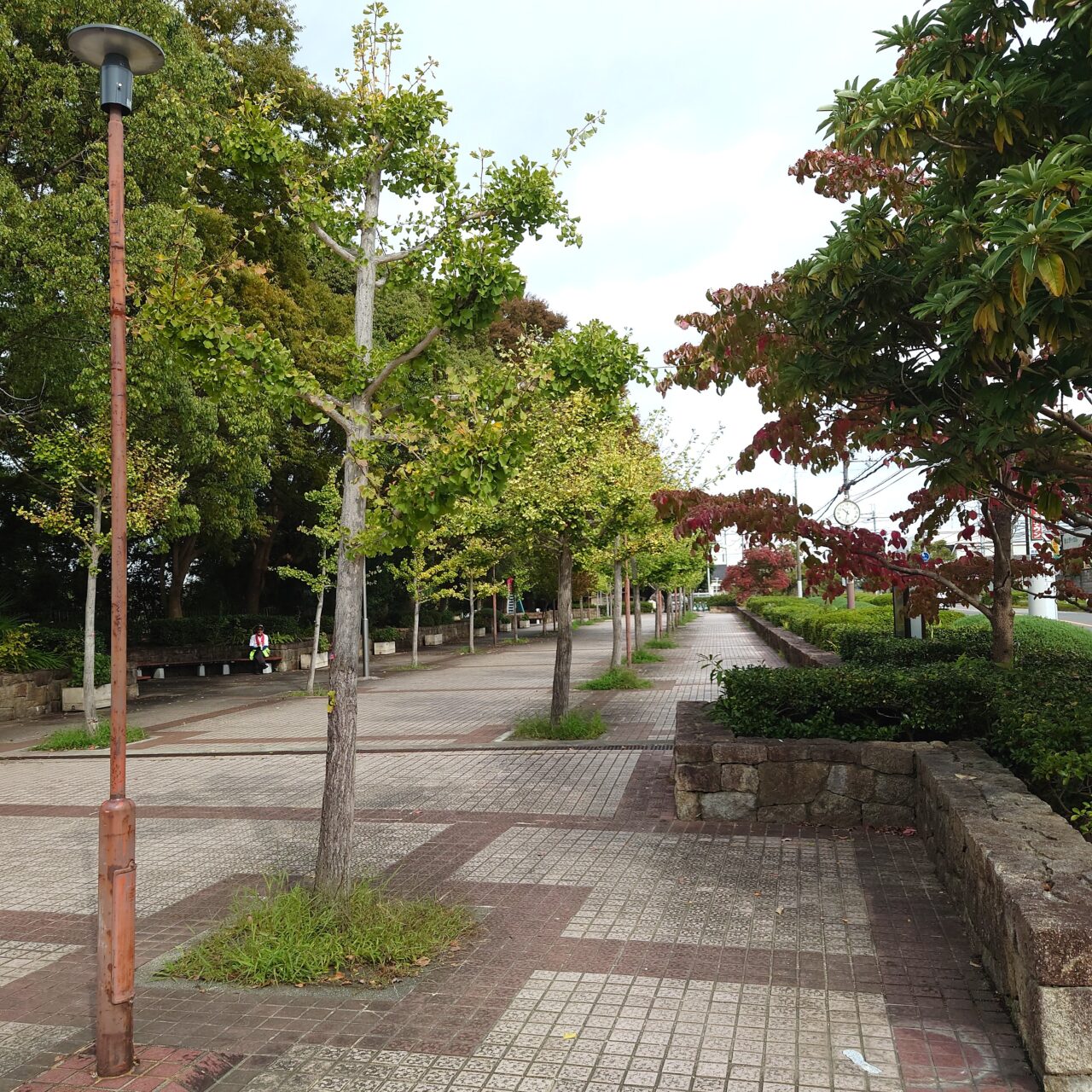 寺ケ池公園リニューアル