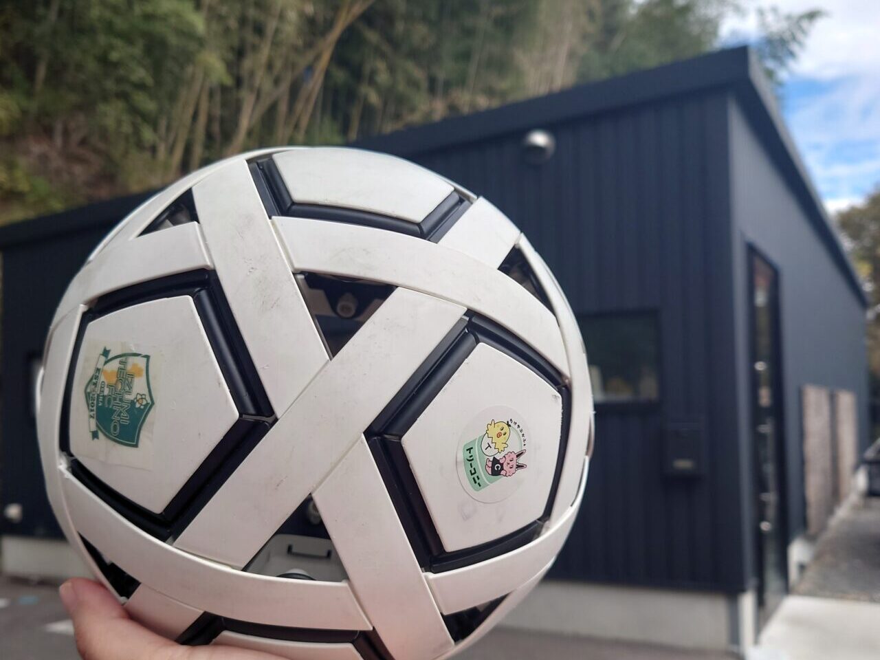 トリーコニー祭