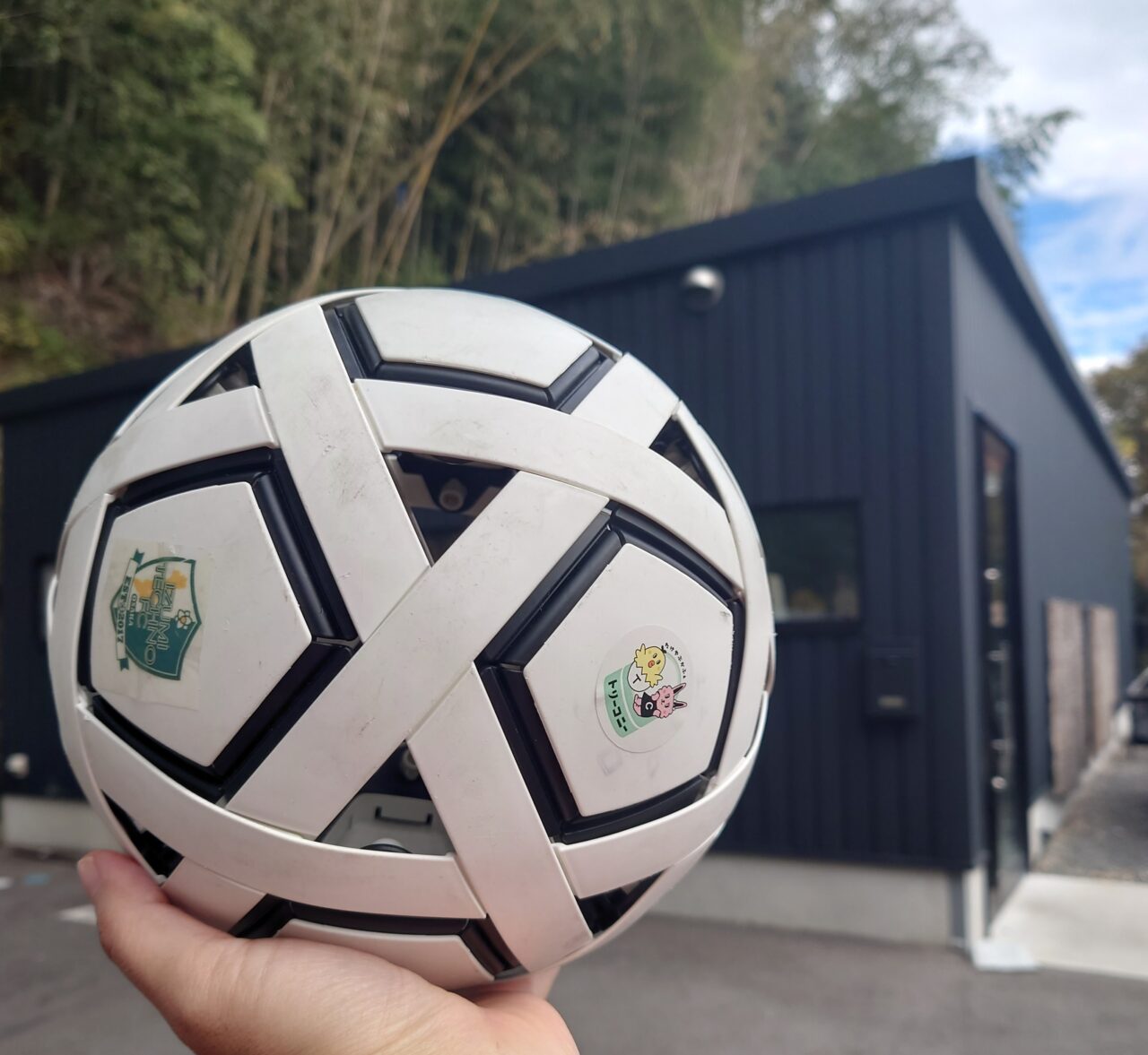 トリーコニー祭