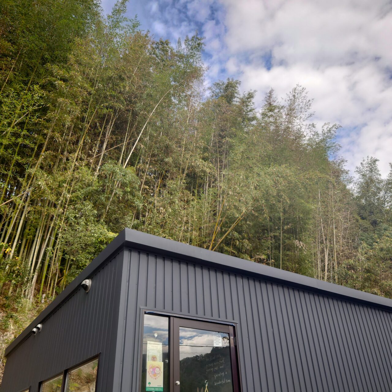 トリーコニー祭