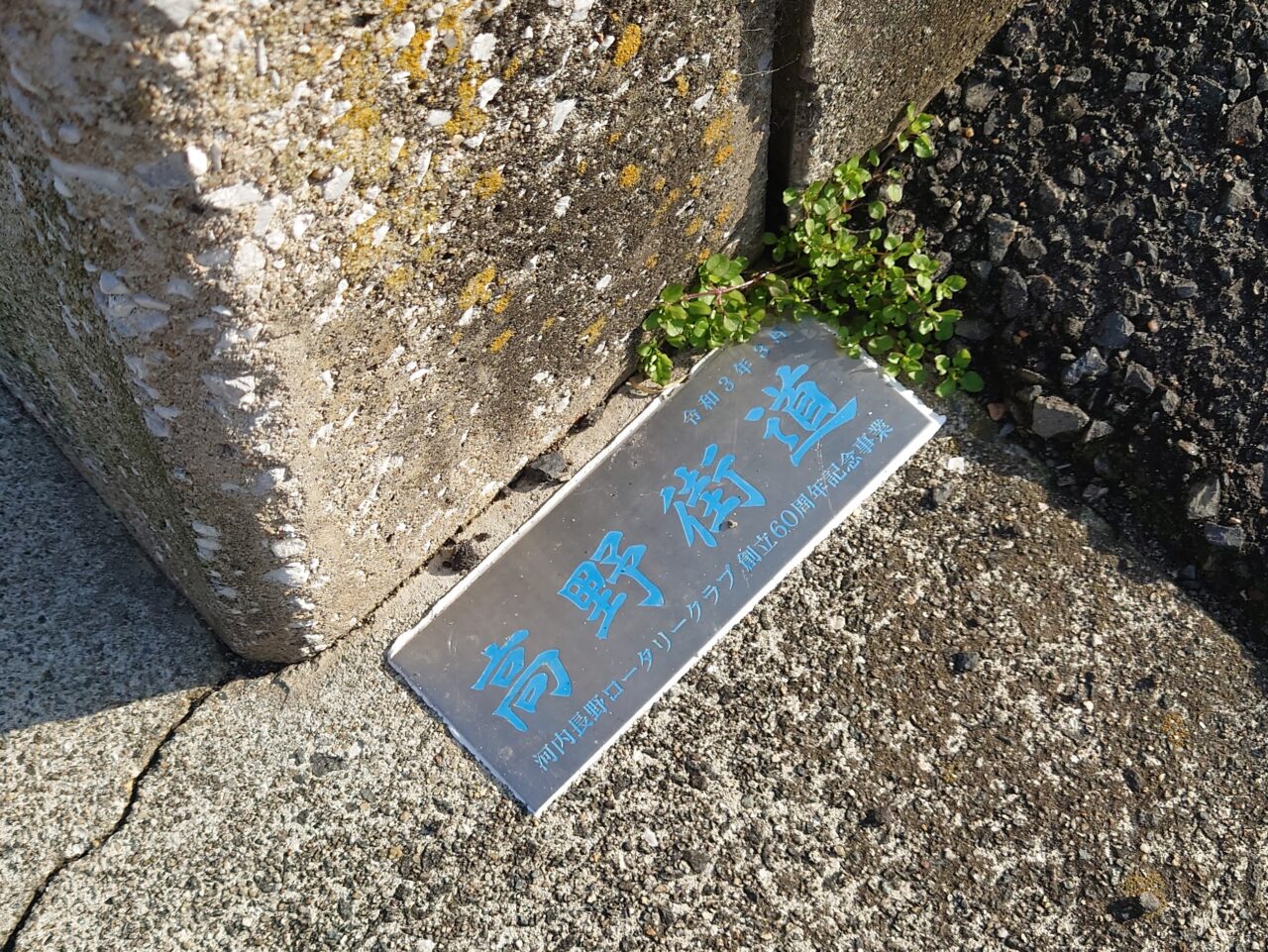 十六世紀の烏帽子形城 講演会＆現地見学会