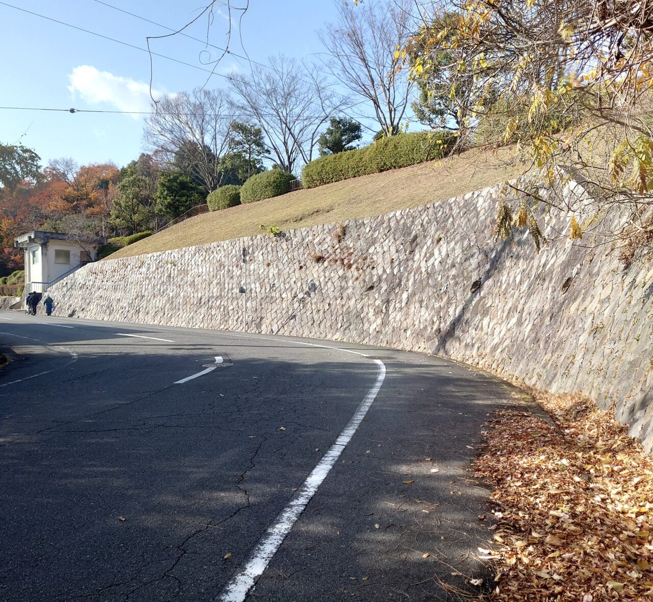 十六世紀の烏帽子形城 講演会＆現地見学会