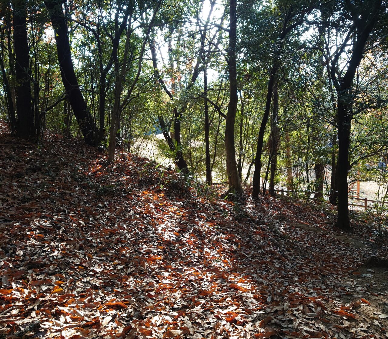 十六世紀の烏帽子形城 講演会＆現地見学会