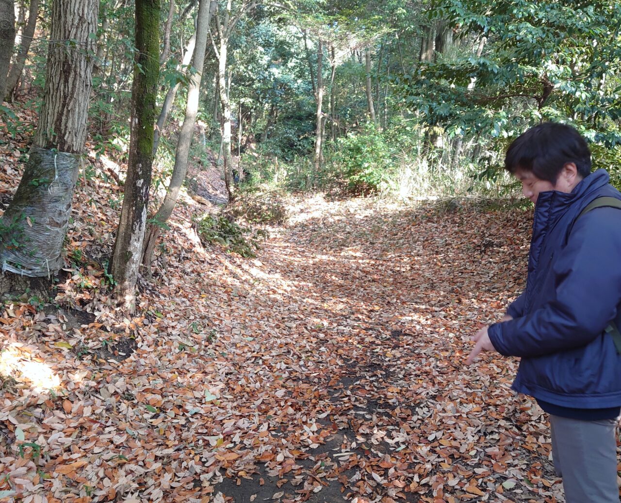 十六世紀の烏帽子形城 講演会＆現地見学会