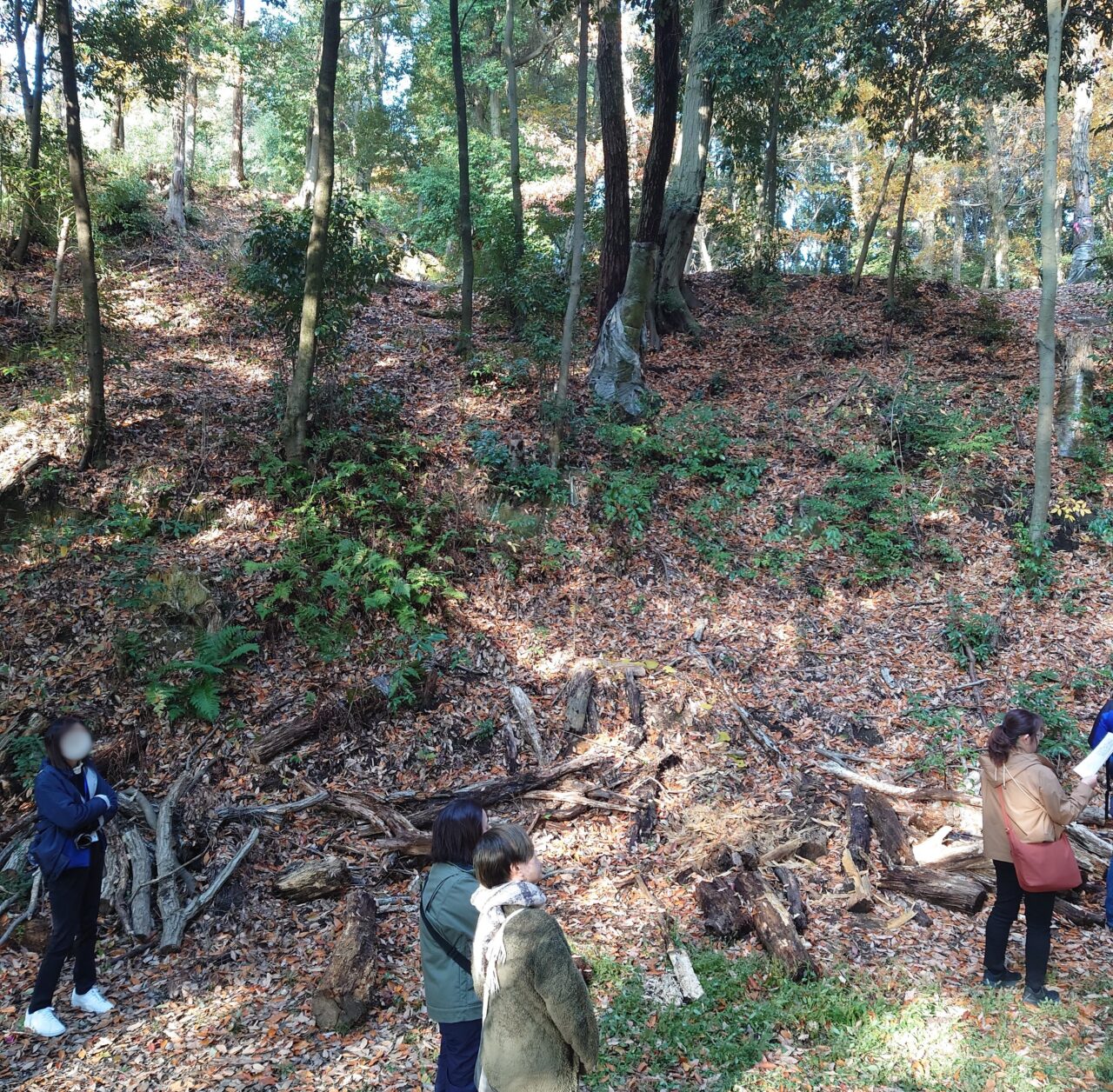 十六世紀の烏帽子形城 講演会＆現地見学会