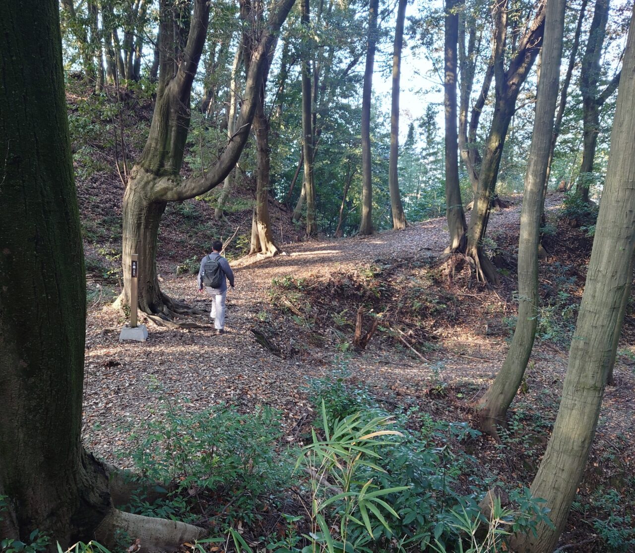 十六世紀の烏帽子形城 講演会＆現地見学会