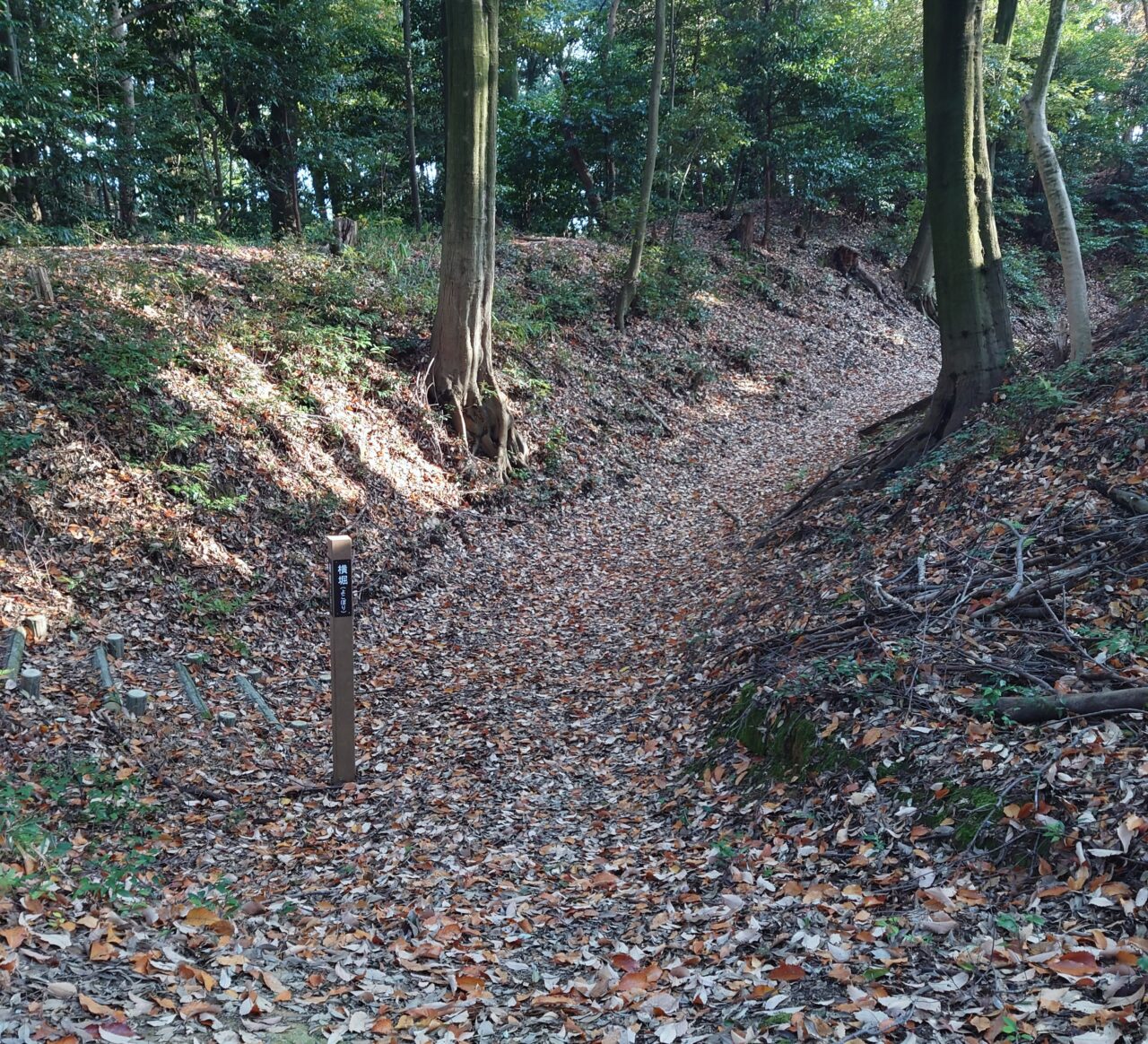 十六世紀の烏帽子形城 講演会＆現地見学会