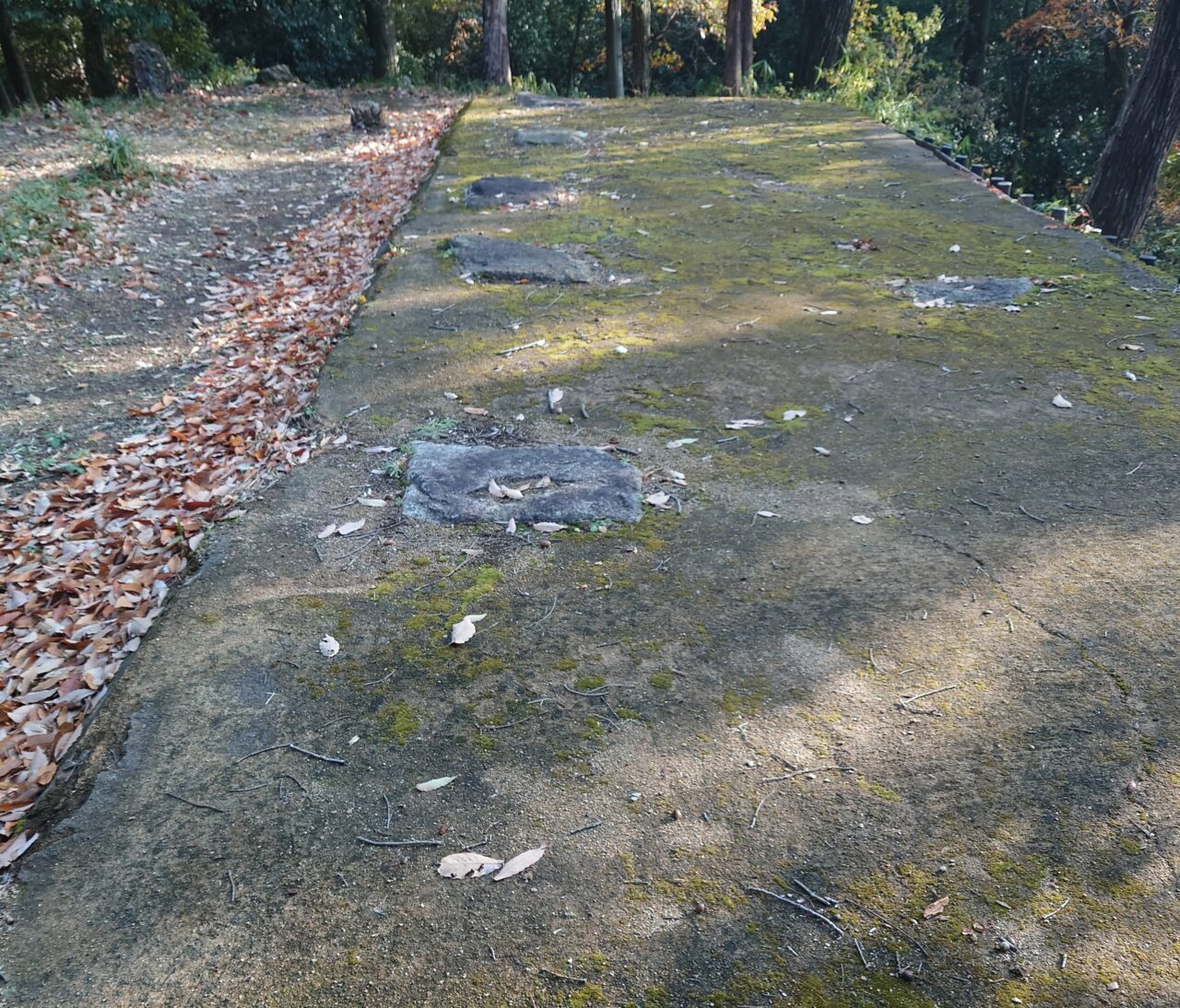 十六世紀の烏帽子形城 講演会＆現地見学会