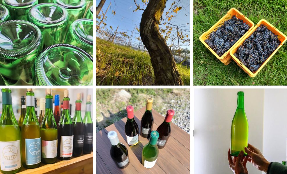 流しのワイン屋inへのへの