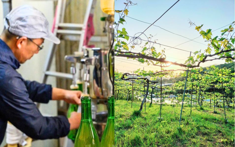 流しのワイン屋inへのへの