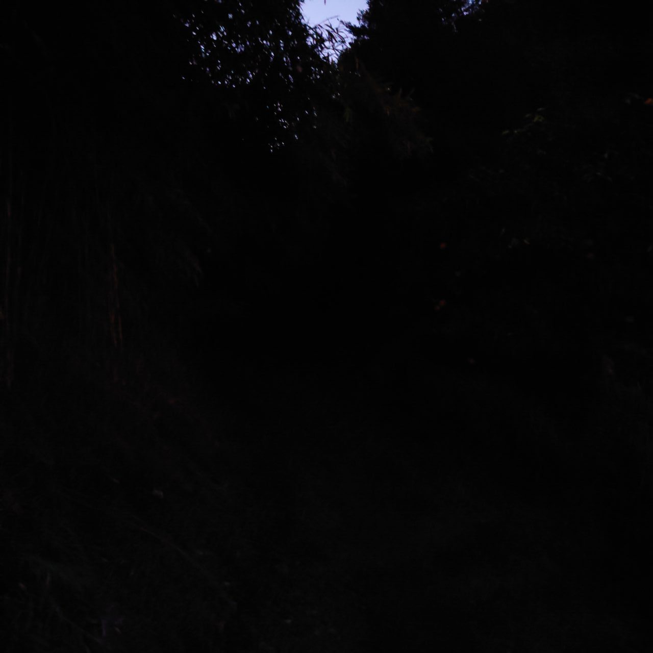 金胎寺山 初日の出