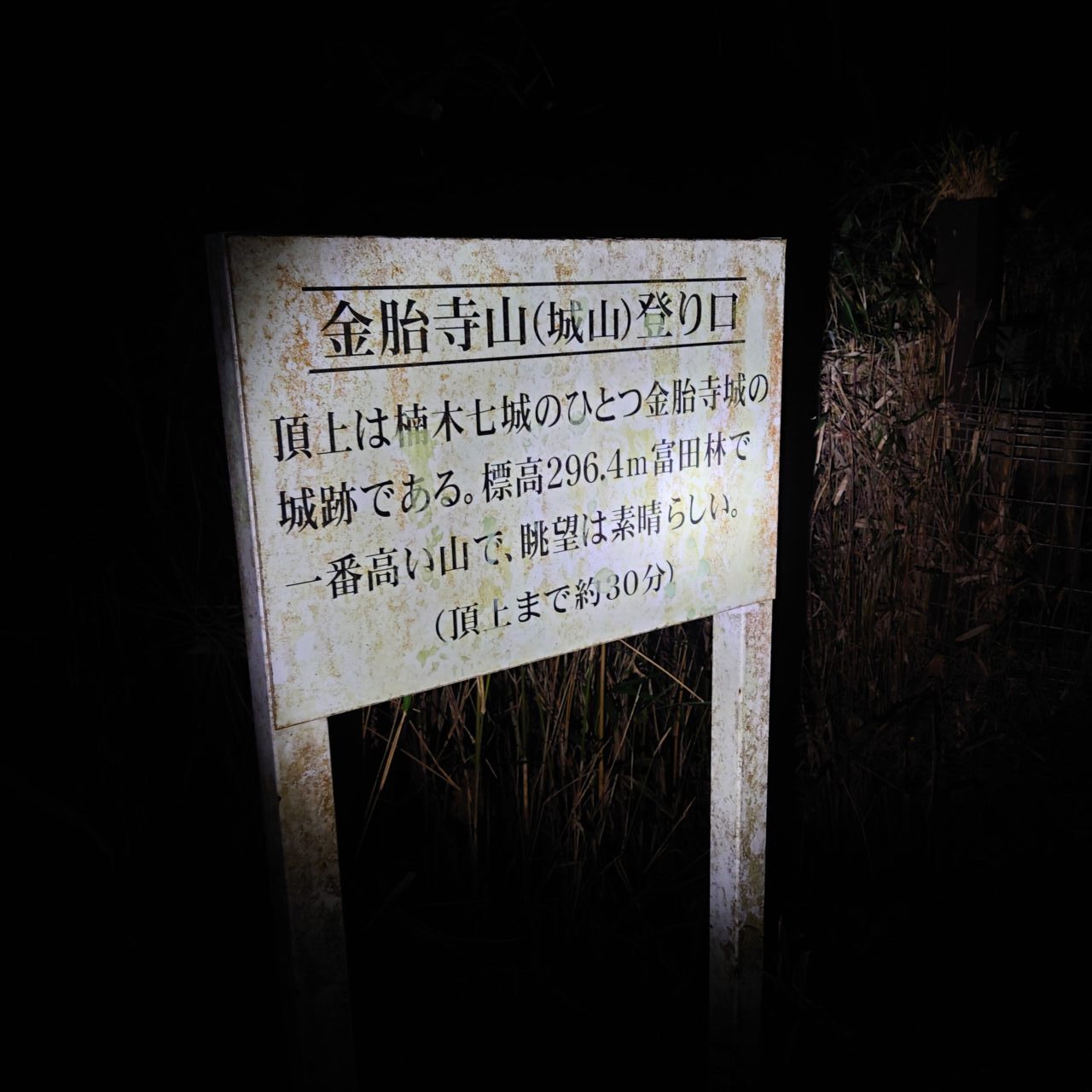 金胎寺山 初日の出