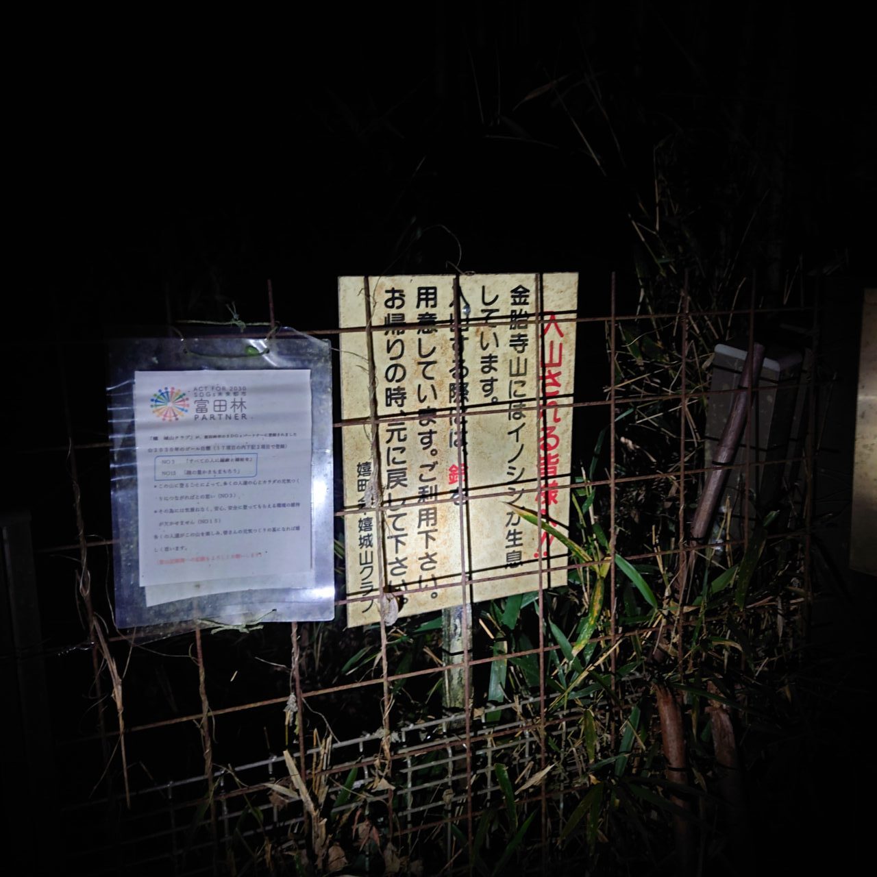 金胎寺山 初日の出