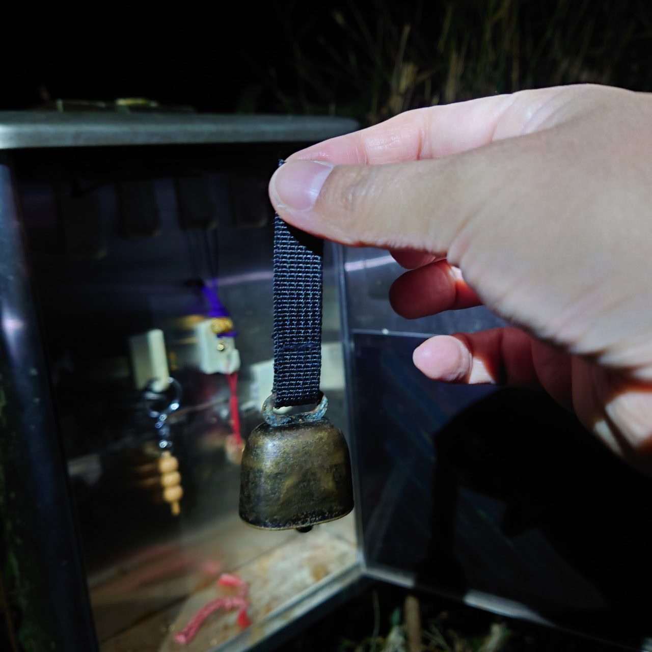 金胎寺山 初日の出