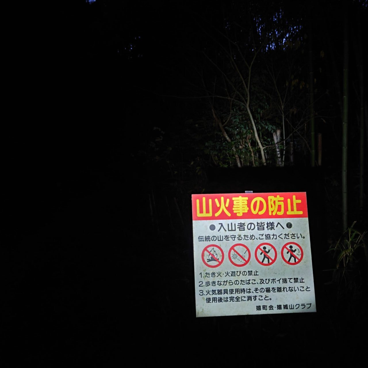 金胎寺山 初日の出