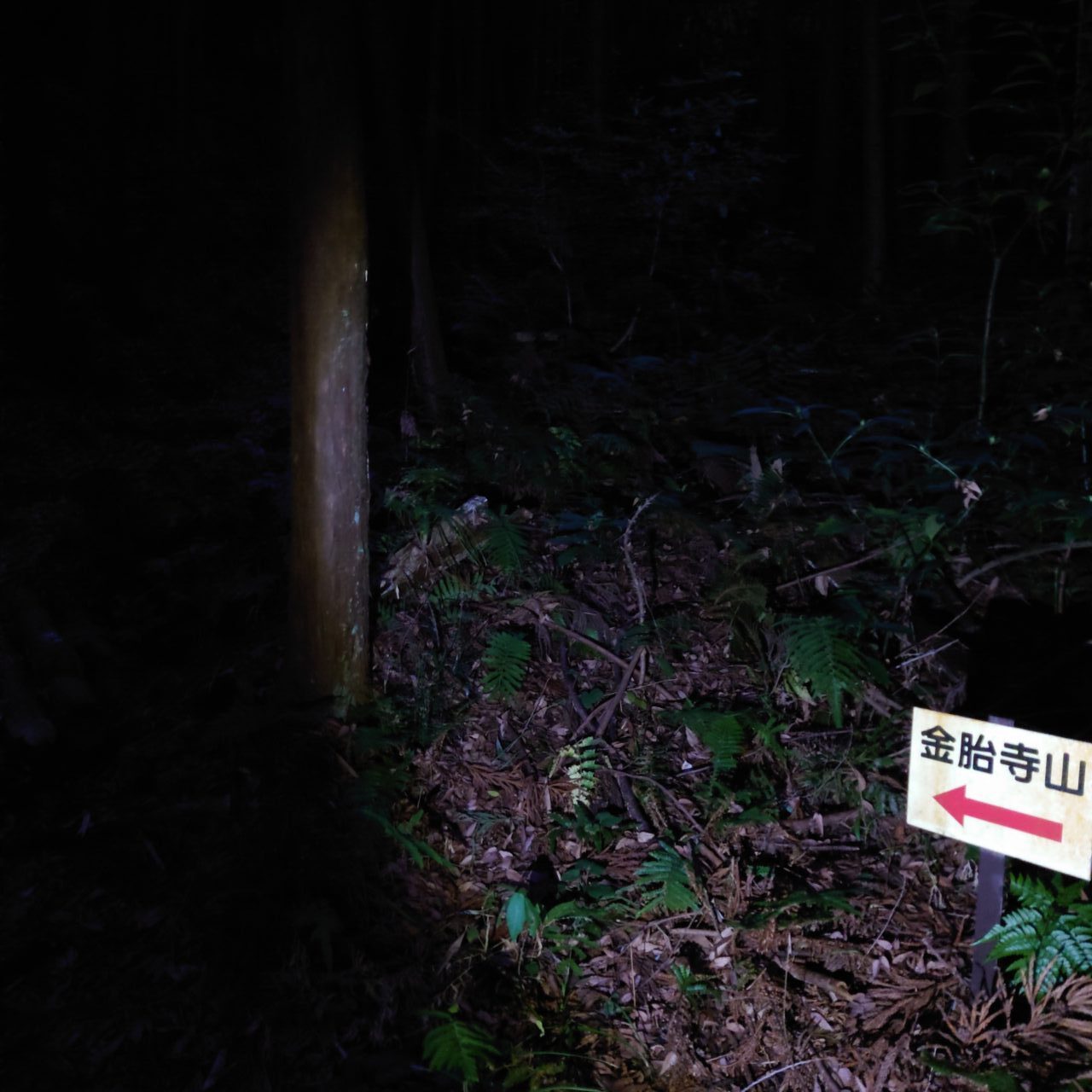 金胎寺山 初日の出