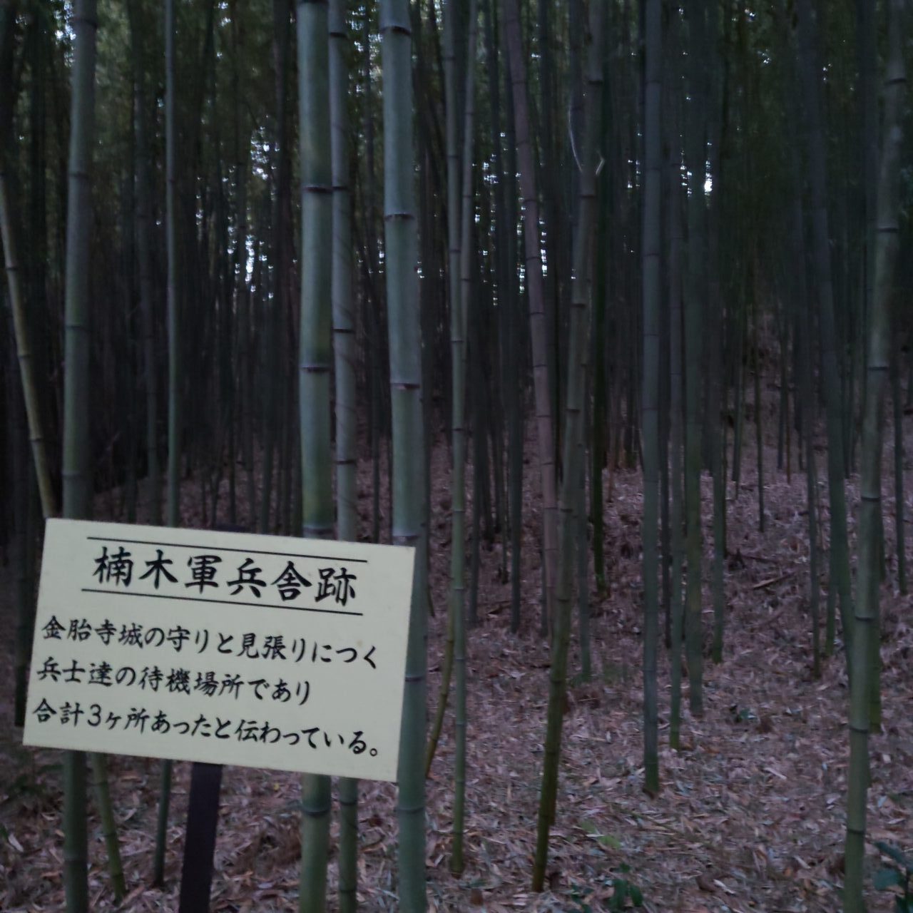 金胎寺山 初日の出