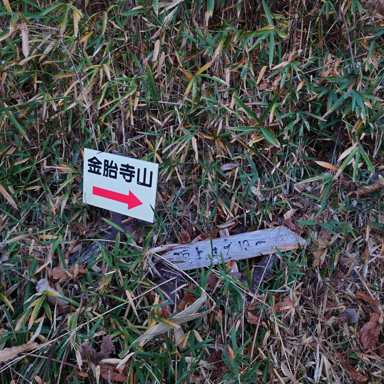 金胎寺山 初日の出