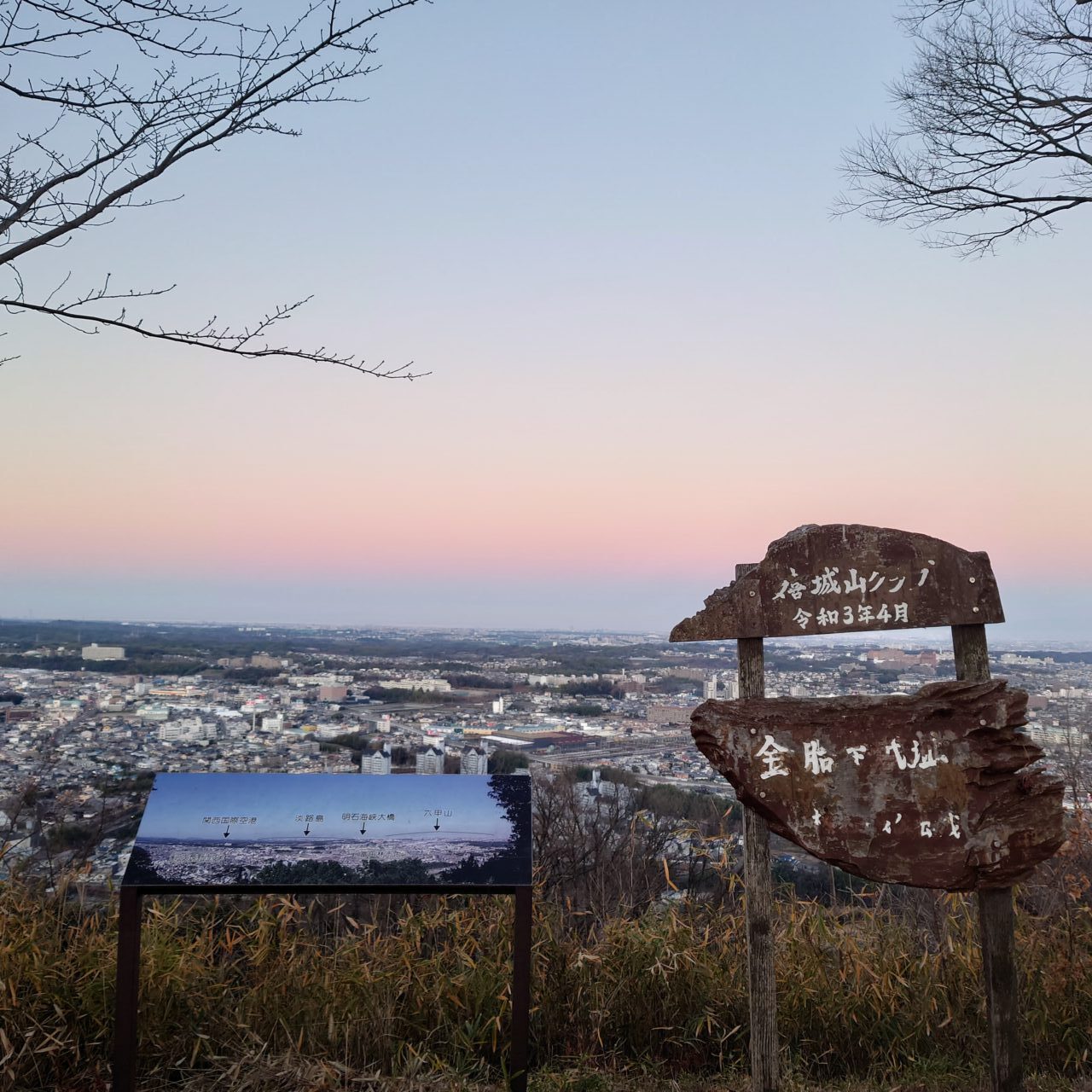 金胎寺山 初日の出