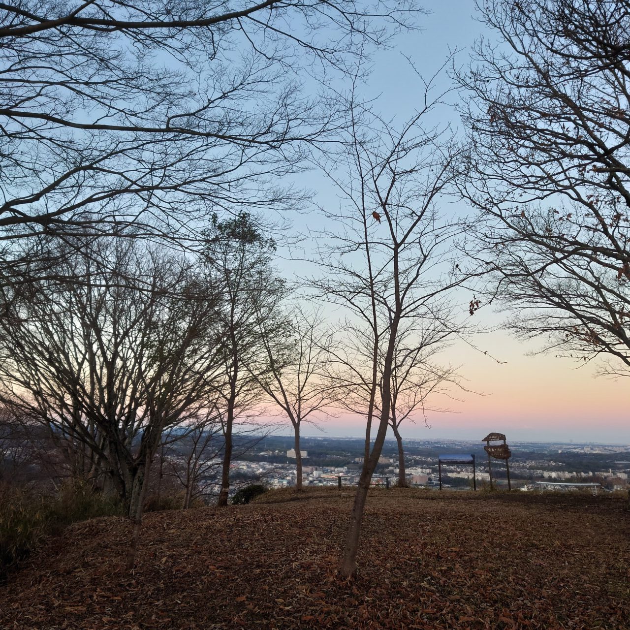 金胎寺山 初日の出