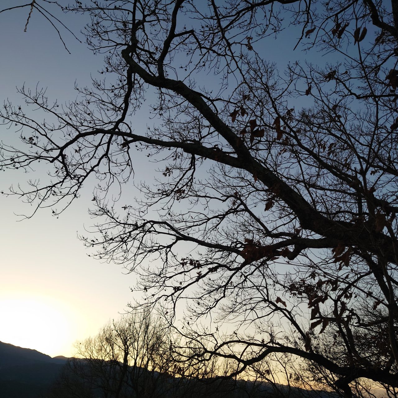 金胎寺山 初日の出