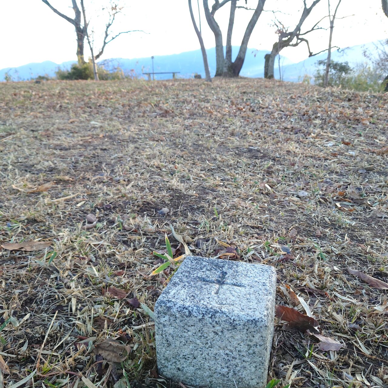 金胎寺山 初日の出
